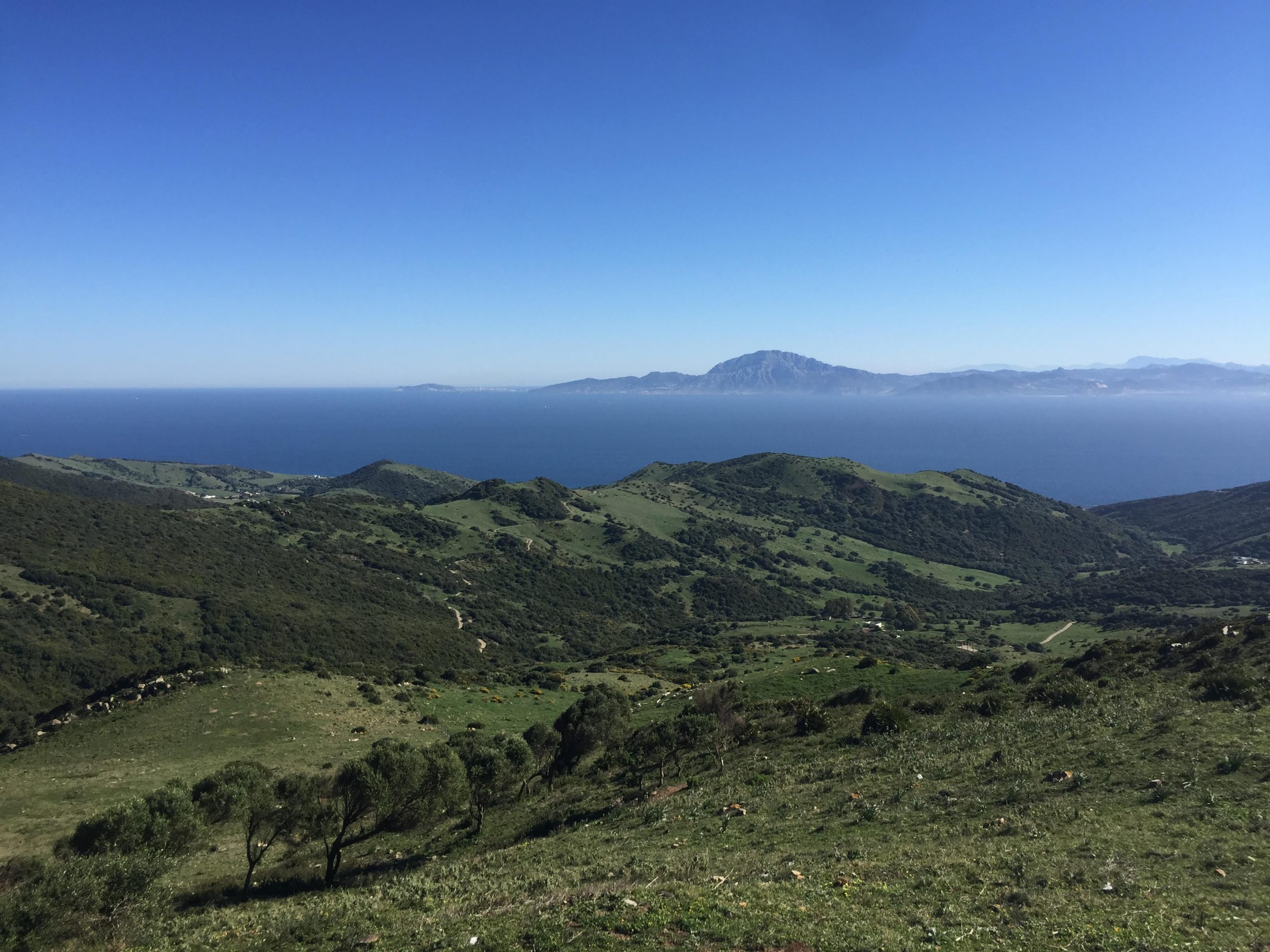 A place where 2 continents meet February 2020 scaled - Lion Trust Spain