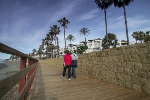 Coastal pathway - Lion Trust Spain