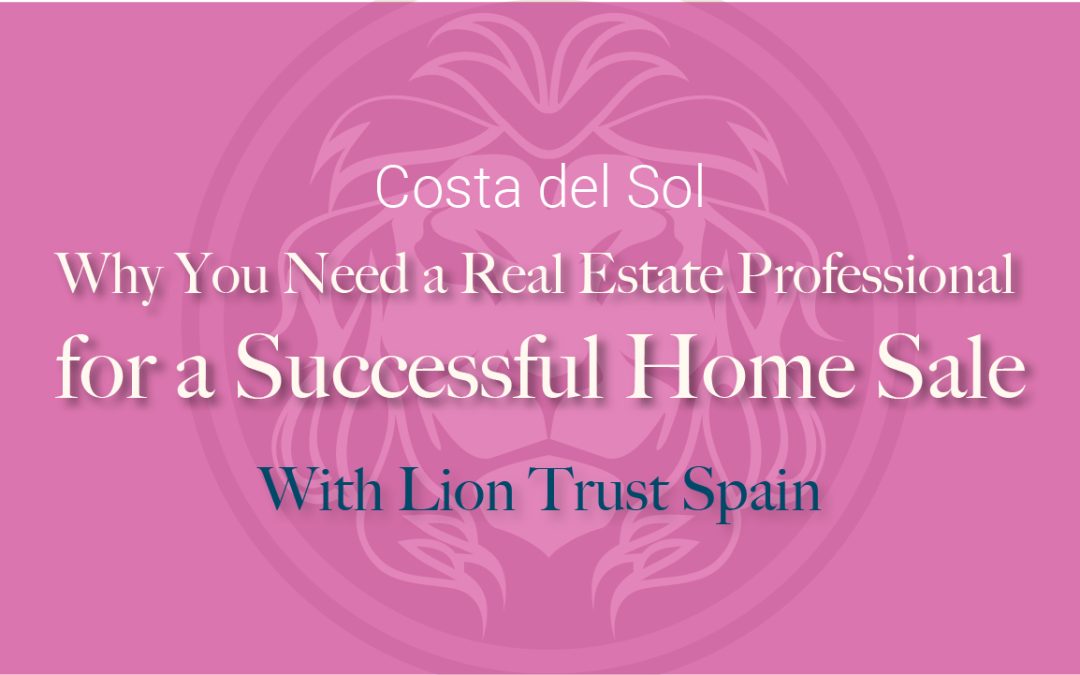 9 Reasons Why You Need a Real Estate Professional for a Successful Sale | Lion Trust Spain