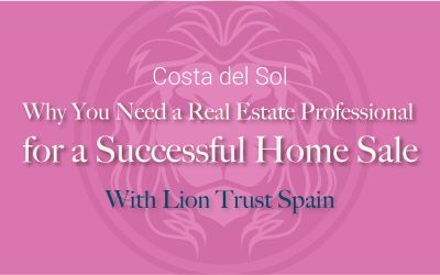 9 Reasons Why You Need a Real Estate Professional for a Successful Sale | Lion Trust Spain