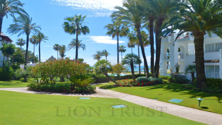 24 - Lion Trust Spain