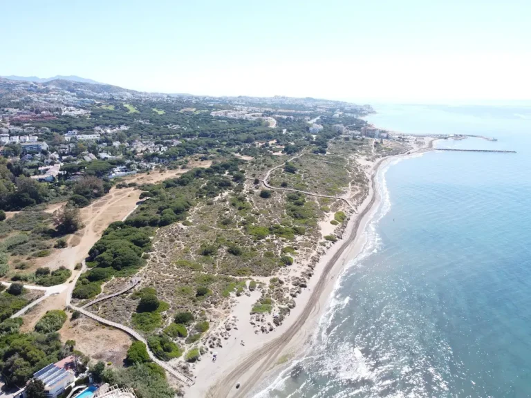 Villas in Artola 768x576 1 - Lion Trust Spain